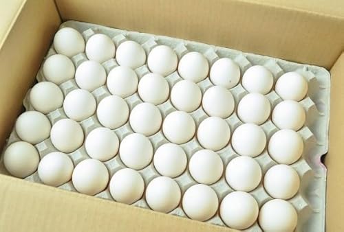 s꒼s@olߌ{i2LTCYj132-142O@Y@10kgy①z