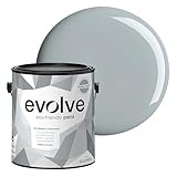 EVOLVE Paint & Primer: Environment-friendly, Low...