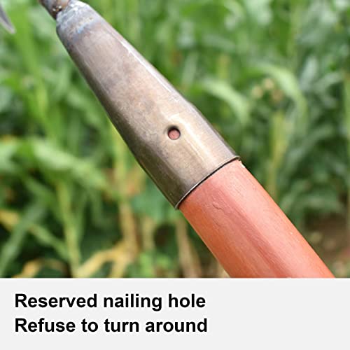 Escarificador Manual - Aerador de Gramado para Jardim Aço Carbono Escarificador Manual Ancinho de Co