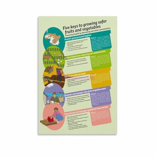 Five Key Points Food Safety Poster Health Department Requirements Safe Handling Guide Wall Art for Kitchen Restaurant(Framed,12x18inch(30x45cm))