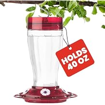 More Birds Bird Health+ Big Gulp Hummingbird Feeder, Glass Hummingbird Feeders for Outdoors, 5 Feeding Stations, 40 Ounces