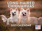 Longhaired Long Haired Chihuahua 2025 Calendar Dog | American Made In The USA