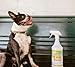 No More Bugs! Naturally Green Products Home Kit Safe for You and Your Pets!