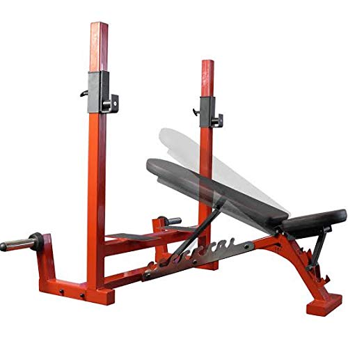 GOLD FITNESS Commercial Olympic Gym Bench (Incline, Decline, Flat Bench