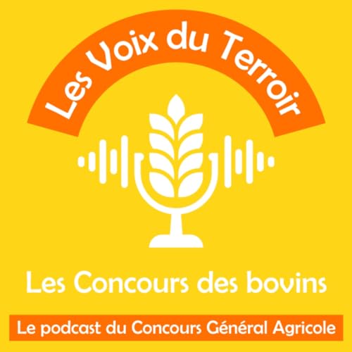 Les Concours des bovins