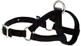 Weaver Livestock Llama Halter Small