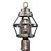 Bruges 1L Dusk to Dawn Bronze Outdoor Cage Post Light Clear Glass