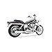 Freedom HD00376 Exhaust (2-1 Union Touring Chrome With Black Tip)