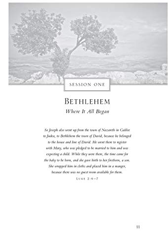 The Rock, The Road, And The Rabbi Study Guide With Dvd: Come To The Land Where It All Began #TOP2