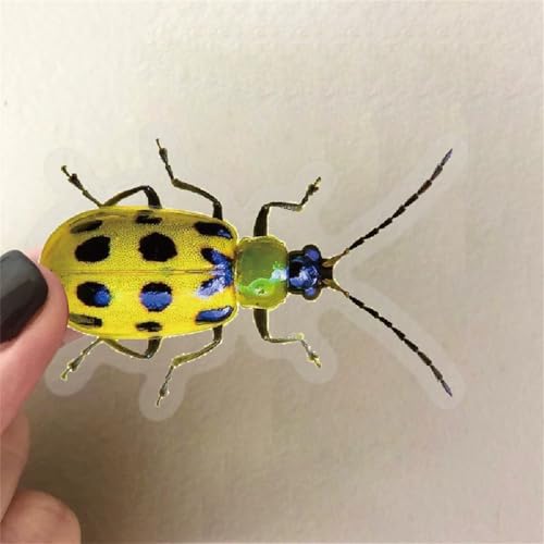 Image of 50PCS Cartoon Insects Stickers Aesthetic PET Transparent Insect Decal Waterproof Decorative Decals for Scrapbook DIY Crafts Album Bullet Journal Planner Water Bottles Laptop Phone (Insect)