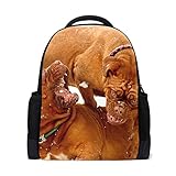 El paquete incluye: 1 mochila para ordenador portátil