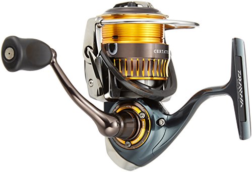 Daiwa Certate 2506 16 [Importazione giapponese]