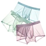 A PURE SOURCE Mens Boxers Shorts Ice Silk,Men Seamless Panties Mesh Transparent Ultra-Thin Breathable Male Underpants
