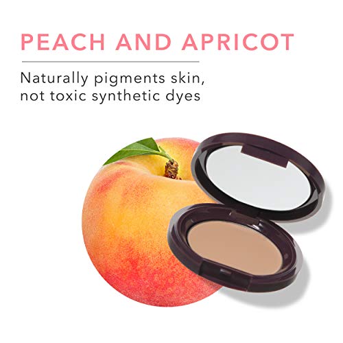 100% Pure Fruit Pigmented Long Last Compact Concealer, Golden Peach, Full Coverage Concealer, Diminish Dark Circles (Medium To Tan With Yellow Undertones) - 0.11Oz #TOP2