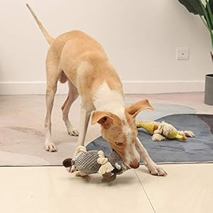 Sedioso Dog Toy, Large Dog Squeaky Toys, Stuffed Animal Dog Plush Toy for Puppy, Small, Middle, Large Dogs (Donkey(Grey))