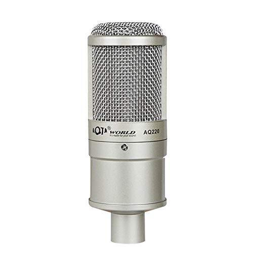 Microphone de condensateur de bruit sans fil K Song AQ-220