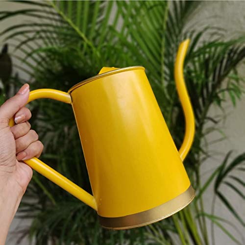 ecofynd 1.5 Litre Metal Watering can for Plants, Garden Water can for Kids, Flower Watering Pot for Home Gardening, Color – Yellow, Size – 1.5 L with spout