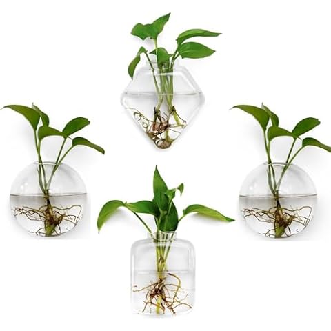 4 Pack Glass Wall Hanging Planters Plant Terrariums Indoor Wall Flower Vase Containers Wall Mounted Glass Holder Window Terrarium Wall Propagation Cover