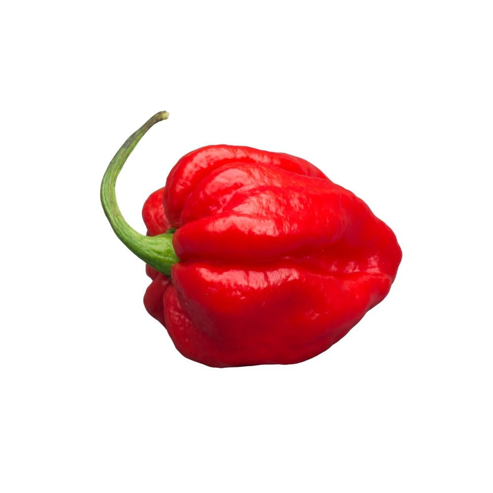 Tris di Peperoncino Habanero - Prodotti al peperoncino Mr PIC® - Mr PIC®: il Peperoncino Toscano di qualità - Carmazzi: la più ampia linea di prodotti piccanti in Italia