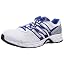 White (Running White Ftw/Metallic Silver/Blue Beauty F10)