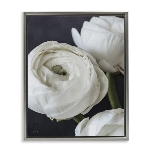 Ranunculus Blooming Close Up Floral, 25 x 31 Inch Canvas in Floater Frame