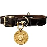 FSSOI Erkennungsmarken für Hunde mit Gravur, personalisiertes Lederhalsband