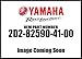 Yamaha Wire Harness Assembly 2D2-82590-41-00 New Oem
