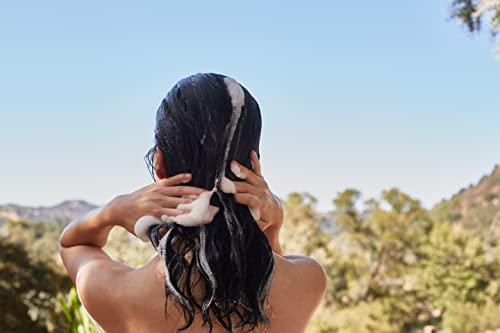 Lather Yuzu Bergamot Crème Rinse | Essential Oil Conditioner | Conditioner With Yuzu & Bergamot| Natural Conditioner | Hair Products For All Hair Types | Vegan Conditioner | 8 Fl Oz Bottle #TOP1