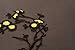 Two Asian Cherry Blossom Sakura Flower Iron on Embroidered Appliques Patch Japanese Chinese (Black,Gold)