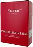 Weingut Kiefer