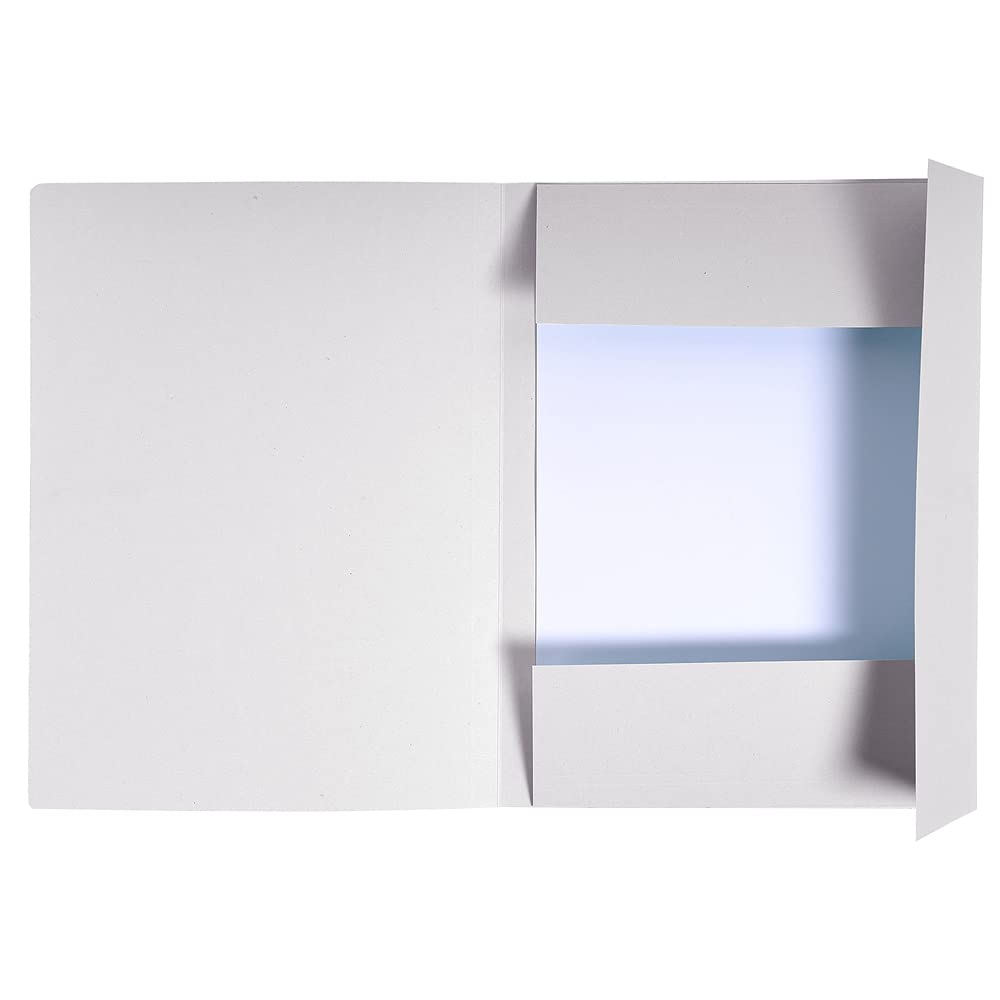 Exacompta 50 bedruckte feste Mappen Forever® Blauer Engel grau