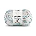 Bernat Baby Blanket Yarn, 10.5 Ounce, Little Teal Dove