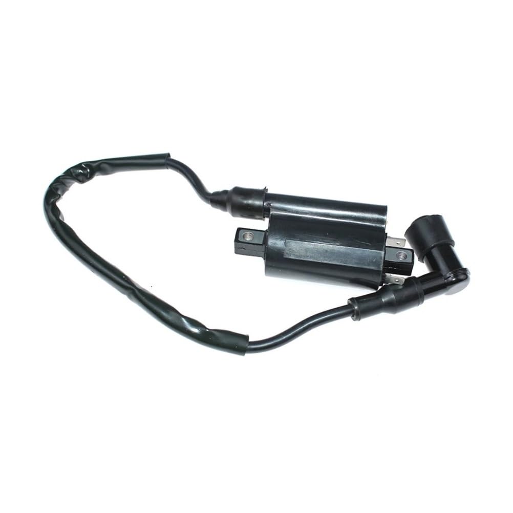 Bobine d'allumage 74216 74218 74219 pièce de rechange motoculture