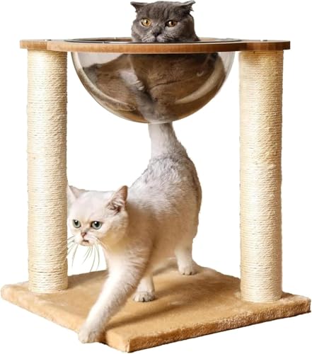 liritoboryFDJvZfUCzLp܂Ƃؓo^[ nEXp 360°  ȃXy[Xybgpi ȒPgՂg