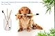 Hundezahnbürste, Haustiere Bambuszahnbürsten für Hunde Katzen, Umweltfreundliches Zahnreinigungswerkzeug (6er Pack)