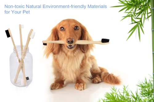 Dog-ToothbrushPets-Bamboo-Tooth-Brush-Double-Sided-Small-Large-Head-Toothbrushes-for-Dogs-CatsBiodegradable-Eco-Friendly-Teeth-Cleaning-Tool-6-Pack-with-Bag-Holder