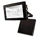 MAXSA Solar-Powered 10 Hour Floodlight. Uplight Signs, Flags, Statuary & Outdoor Spaces. Durable & Weatherproof Dusk-to-Dawn Solar LED Light, Black 40330