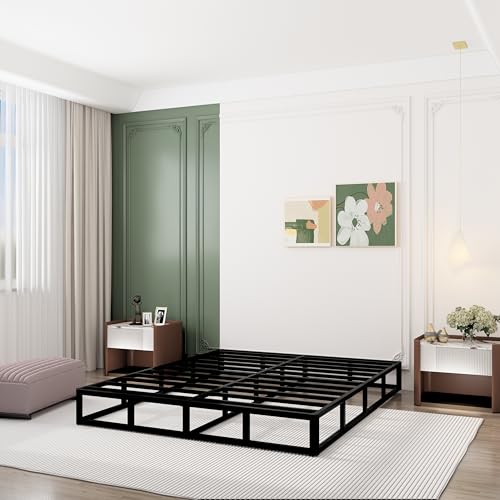 TROZULER 9 Inch Box Spring for Queen Bed, Heavy Duty Metal Mattress Foundation, 3000 lbs Capacity, High Profile, Noise-Free, Easy Assembly with Fabric Cover