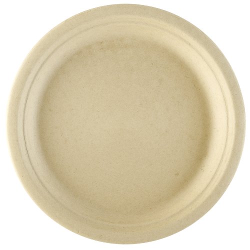 Assiettes bioniques de 23 cm pour éviter la casse lors des grands banquets professionnels