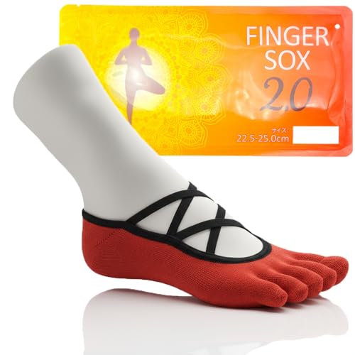 [FITnadi] seBX C K\bNX yrEs^bƈz KC 5{w \bNX ~ fB[X