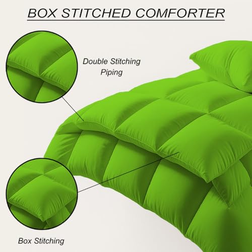 Image of Queen Size Comforter Set - All Season Down Alternative Bedding Comforter Set - Quilted Duvet Insert with Corner Tabs - Box Stitched Blanket - Breathable, Soft - Parrot Green