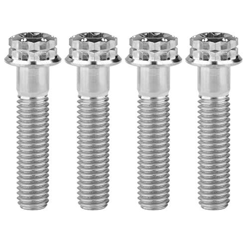 Titanium Flange M10 Bolt (M10x40mm Pitch 1.5mm, Silver)