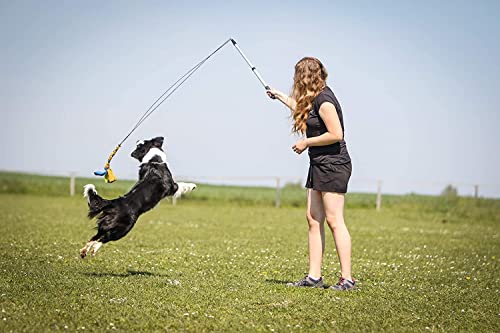 Flirt Pole For Dogs W/ Safe & Strong Non-Bungee Cord, Telescopic Lure Stick For Dogs Of Any Size, Dog Toy For Fun Obedience Training & Exercise, Braided Fleece Toy Pre-Attached, By Yes4Quality #TOP6