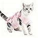 猫 術後服 術後ウェア 介護服 かわいい リボン付き 猫用エリザベスカラー代替 離乳期 手術後 傷舐め防止 避妊 去勢後ケア ストレス軽減 猫術後リカバリー服
