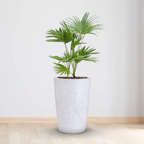 Image of BonKaso 24 inch White Pot - Tall, Durable & Lightweight Polymer Round Tower Planter for Indoor & Outdoor Use: Home, Office, Garden & Balcony (Gamla /Gamale)