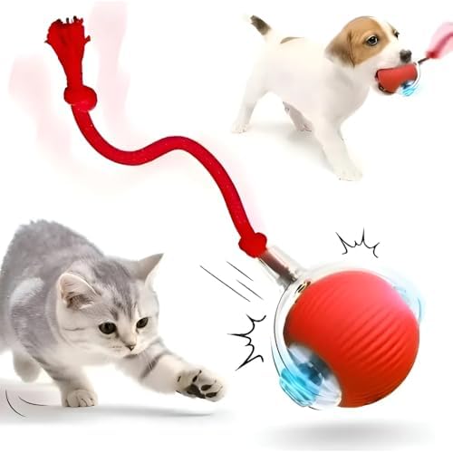 Bola Interativa Bolinha Pet Premium Inteligente Gato Cão Automáti...