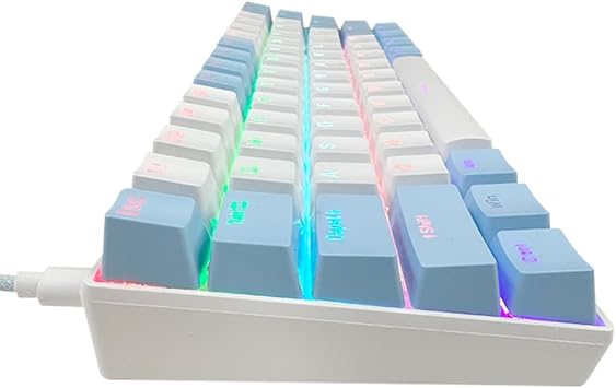 Coverzone Türkçe Mekanik Klavye 61 Tuş%60 Blue Switch RGB Aydınlatmalı Kompakt Gaming Klavye | FN Kombinasyonlu Ok Tuşları Çoklu Işık Modu Dayanıklı Mekanik Tuş Yapısı | H61K (Mavi Beyaz)