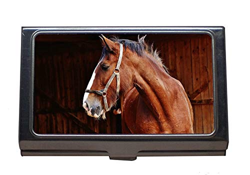 Professioneller Visitenkarten-Etui, Tierstallpferd, Kartenhalter aus Edelstahl