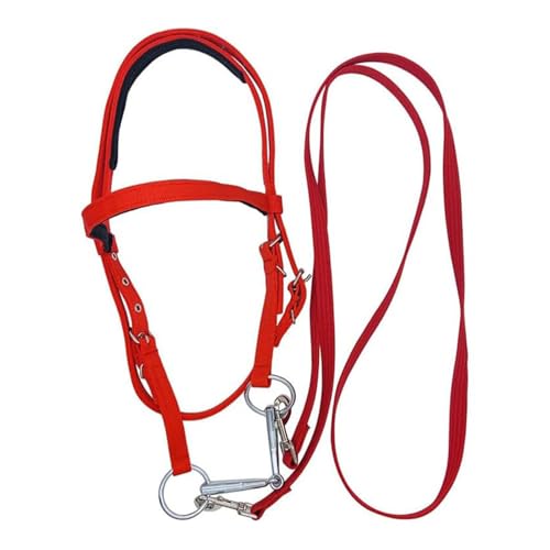Caballo y riñones, ajustable cuerda Bridle, 1,3 metros estable Riding Equipment, portátil Harness with Safety Riin, Ranch and Stable Riding Tack, Equine Supply
