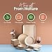 Smarty Had A Party 3 Oz. Round Palm Leaf Eco Friendly Mini Disposable Sauce Bowls (100 Bowls